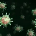 Acre tem 15,1 mil infectados e 404 óbitos por coronavírus