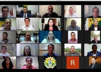 Votação foi realizada nesta quarta, 15, durante sessão virtual (Foto: Agência Aleac)