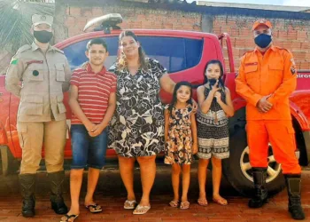 Após morte do gato em ataque de abelhas, bombeiros presenteiam família com novo animal de estimação