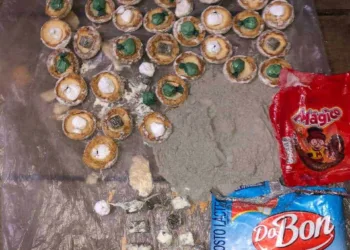 Policiais penais apreenderam 28 trouxas de cocaína, 20 tabletes de maconha, dois pacotes de tabaco e 200g de rapé que estavam embalados em pacotes de leite em pó e de achocolatado (Foto: Assessoria)