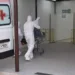 Acre tem mais 5 mortes e 167 novos casos de pessoas infectadas por Covid-19