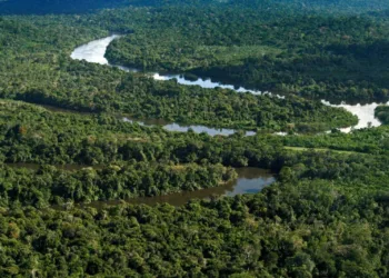 (Foto: Tamara Saré / Agência Pará)