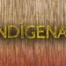 MPF pede informações sobre medidas adotadas para proteção de índios isolados que fizeram contato no Acre