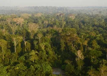 ARTIGO - Breve viagem a "Um Paraíso Perdido" de Euclides da Cunha