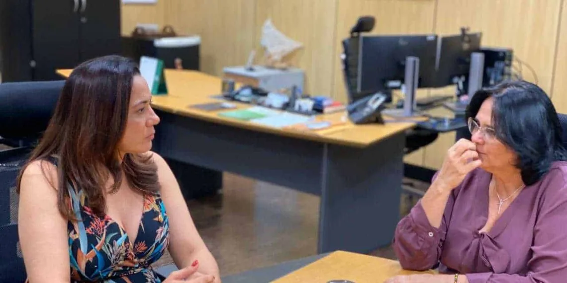 Ministra da Mulher, da Família e dos Direitos Humanos, Damares Alves em reunião com a senadora Mailza Gomes (Foto: Assessoria)
