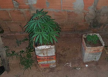 Ação aconteceu durante fiscalização de residência (Foto: Ascom Iapen)