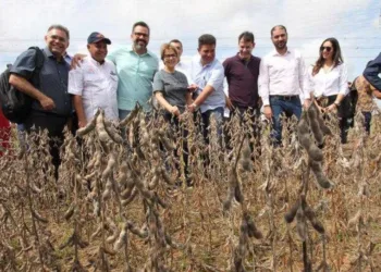 Ministério da Agricultura e Pecuária anuncia o Acre como zona livre de aftosa sem vacinação