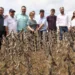 Ministério da Agricultura e Pecuária anuncia o Acre como zona livre de aftosa sem vacinação