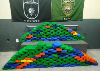 Os 215 kg de cocaína eram transportados em uma canoa pelo Rio Juruá (Foto: Assessoria)