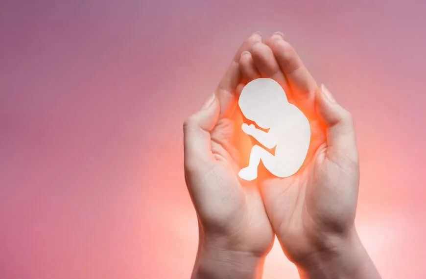 Reflexão sobre os últimos acontecimentos: não há como concordar com o aborto