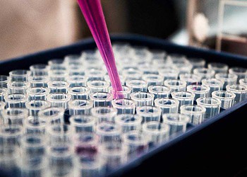 Sesacre registra 35 novos casos de Covid-19 e nenhum óbito nas últimas 24 horas