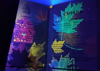 Iranianos presos com passaportes falsos no Acre poderão voltar ao país de origem nos próximos dias