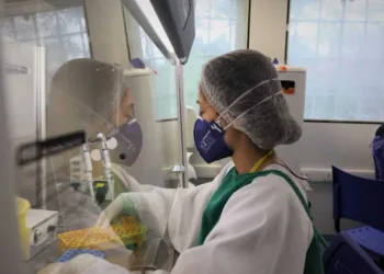 Número de casos de Covid-19 volta a subir no Acre e boletim aponta mais 4 mortes e 209 infectados