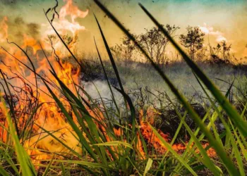 Acre é foco de operação nacional de combate a incêndios florestais