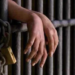 Polícia Civil cumpre mandado e prende acusado de estuprar criança de 8 anos de idade