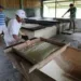 transmissão será no dia 18/09, às 10h (horário de Brasília), no canal da Embrapa no Youtube