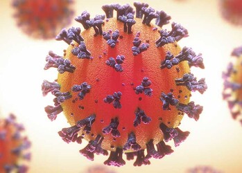 Acre registra mais duas mortes e 187 novos casos de Covid-19 no boletim desta quarta