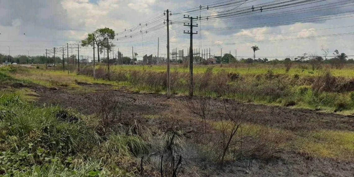 Foram registrados 271 focos de queimadas no Acre, em 2021.