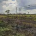 Foram registrados 271 focos de queimadas no Acre, em 2021.