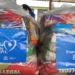 Energisa e UNESCO distribuem 710 cestas básicas a famílias vulneráveis no Acre