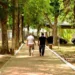 Parques municipais voltam a funcionar em horário normal