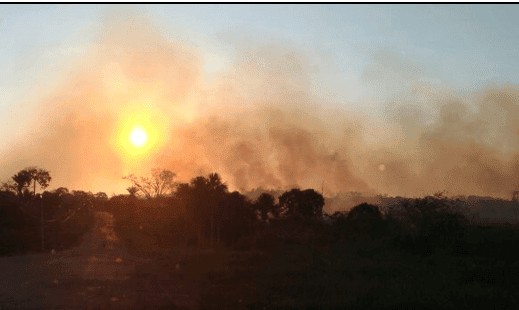 Roupa seca e cheiro de fumaça: o que a Covid-19 tem a ver com isso?