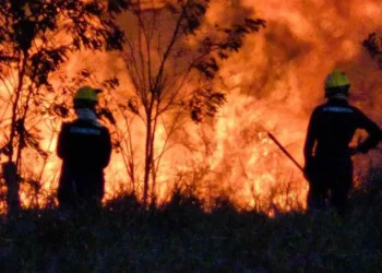 Acre registrou o menor número de queimadas nos últimos seis anos, aponta Inpe
