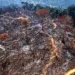 Levantamento é do Imazon, e aponta o Acre como