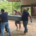 Idoso é executado com tiro no peito e Polícia trabalha com hipótese de latrocínio