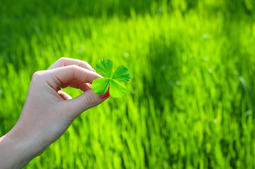 Conheça as melhores formas para se tornar um milionário