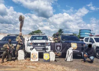 Ação Integrada das forças de segurança do Acre, com apoio da PF, apreende 119 kg de entorpecente em Rodrigues Alves