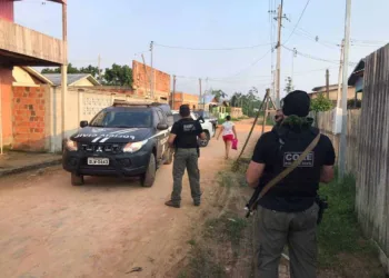 Ação policial contou com efetivo de 50 agentes no uso de 15 viaturas caracterizadas (Foto: Ascom Polícia Civil)