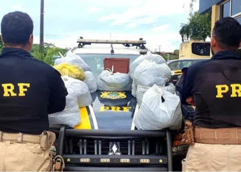 Cabelo importado do Peru estavam em sacos e pacotes e foram encaminhados para a sede da Polícia Federal em Rio Branco