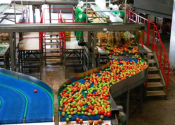 Gladson e Bocalom querem trazer indústria de alimentos de Minas para o Acre