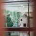 Sesacre confirma mais três mortes e 239 novos casos de Covid-19 no boletim desta quinta-feira