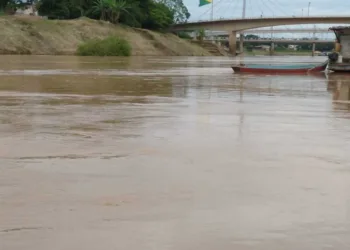 Rio Acre marca 7,92 metros neste sábado em Rio Branco — (Foto: Lidson Almeida / Rede Amazônica)