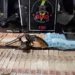 arma de fogo e 12 trouxinhas de cocaína