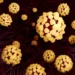 Illustration of coronavirus particles in the lung. Different strains of coronavirus are responsible for diseases such as the common cold, gastroenteritis and SARS (severe acute respiratory syndrome). A new coronavirus (2019-CoV) emerged in Wuhan, China, in December 2019. The virus causes a mild respiratory illness that can develop into pneumonia and be fatal in some cases. The coronaviruses take their name from their crown (corona) of surface proteins, which are used to attach and penetrate their host cells. Once inside the cells, the particles use the cells' machinery to make more copies of the virus.