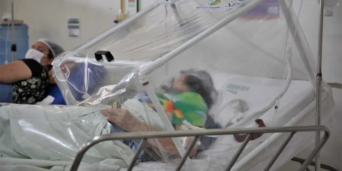 Coronavírus: Acre registra mais quatro mortes e 300 novos casos no boletim desta quinta-feira