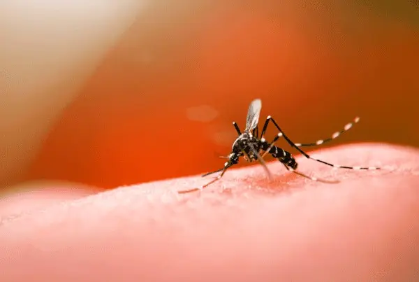 Com 135 notificações de dengue, Prefeitura de Tarauacá recebe recomendação para adotar medidas de combate à doença 1 Foto: Divulgação