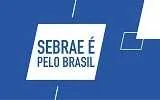 Microempreendedores Individuais com pagamentos de tributo em atraso, como resolver