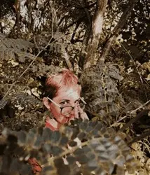 ARTIGO - “Num mato sem cachorro”