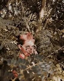 ARTIGO - “Num mato sem cachorro” 1 ARTIGO - “Num mato sem cachorro”