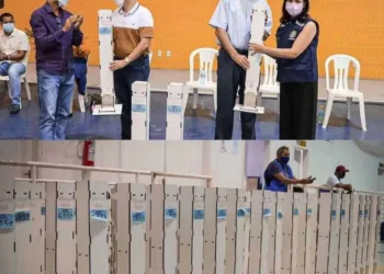 senadora Mailza Gomes