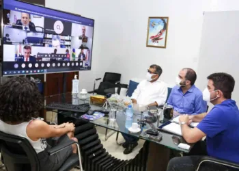 Por meio de videoconferência, diretoria da Anvisa e 11 governadores trataram sobre a importação da vacina Sputnik V (Foto: Marcos Vicentti/Secom)