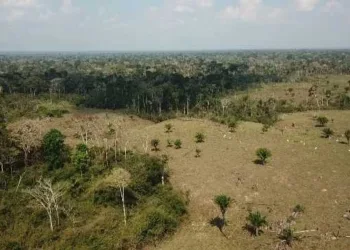 SOS Amazônia aponta irregularidade em tramitação do Instituto de Meio Ambiente do Acre