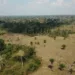 SOS Amazônia aponta irregularidade em tramitação do Instituto de Meio Ambiente do Acre