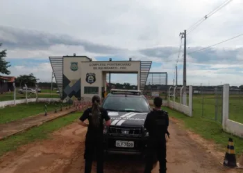Polícia Civil cumpre sete mandados de prisão em Senador Guiomard