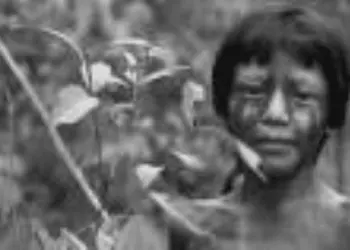 ARTIGO - “Indígenas em terras brasileiras”