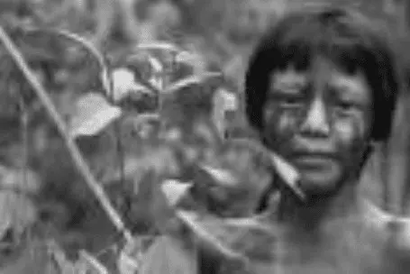 ARTIGO - “Indígenas em terras brasileiras” 1 ARTIGO - “Indígenas em terras brasileiras”